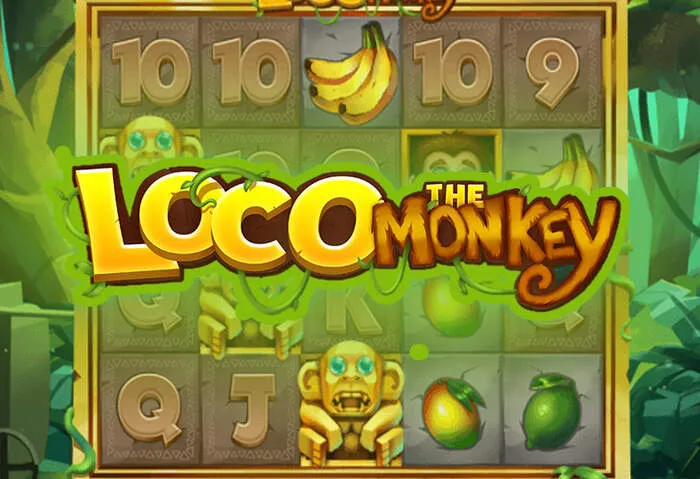 Casino games like slots, blackjack, and roulette with exclusive welcome bonuses.